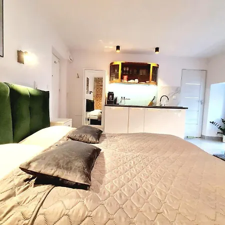 Apartman In The Gate Of Chlebnicka - View Of Motlawa *